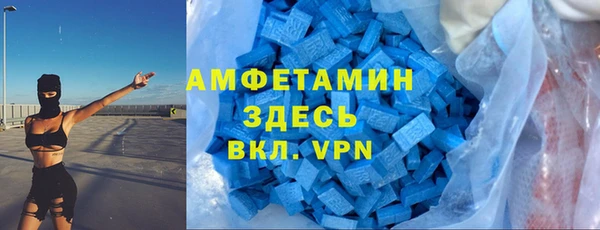 амф Пестово