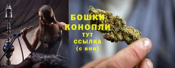 спиды Пересвет