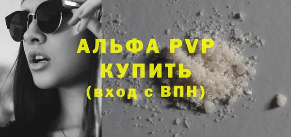 индика Дмитровск