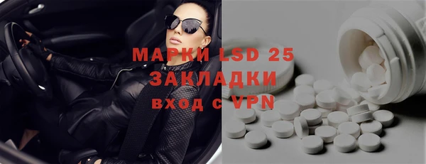 спиды Пересвет