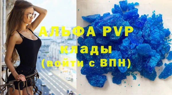 амф Пестово