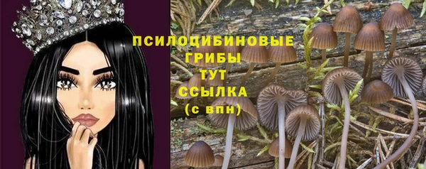 спиды Пересвет