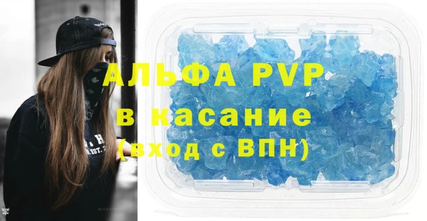 амф Пестово