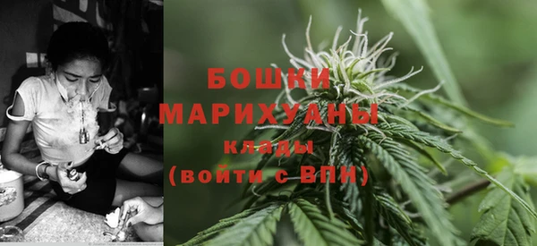 амф Пестово