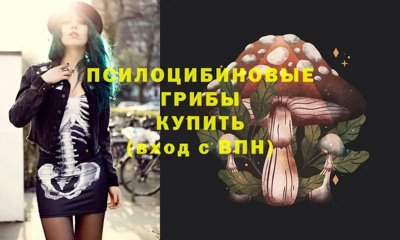 Псилоцибиновые грибы MAGIC MUSHROOMS  hydra ссылки  Задонск  купить  