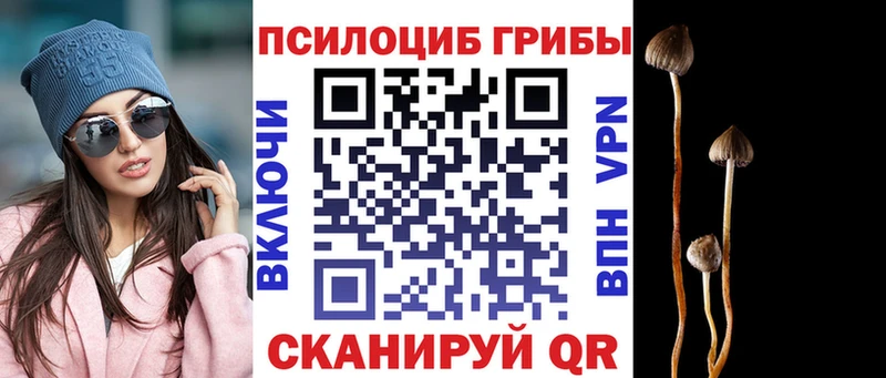 Галлюциногенные грибы Magic Shrooms  Задонск 